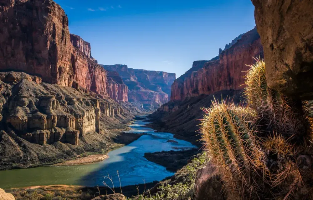 View of the Grand Canyon